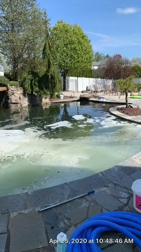 Freeform pool covered in green algae during spring opening treatment with vacuum hose and chemicals on the flagstone deck in Lakehurst, NJ by Gorlin Pools