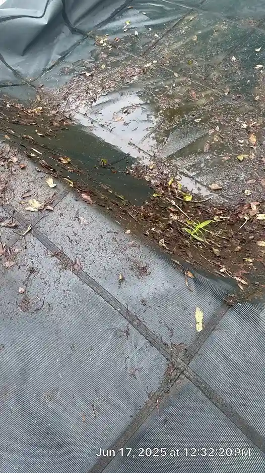 Close-up of a mesh safety cover with heavy leaf and debris buildup from winter on a residential pool in Lakehurst, NJ by Gorlin Pools