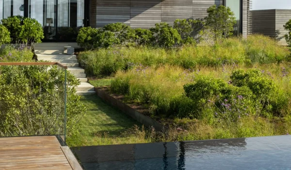 pelican pools - pool enar shrubs 1.1